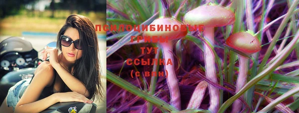 амф Балахна