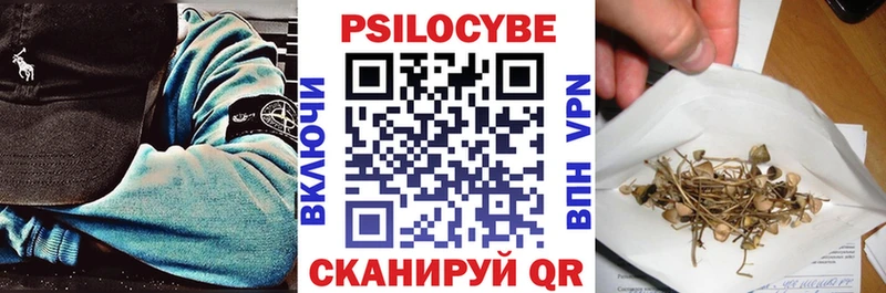 хочу Коммунар Галлюциногенные грибы Psilocybe