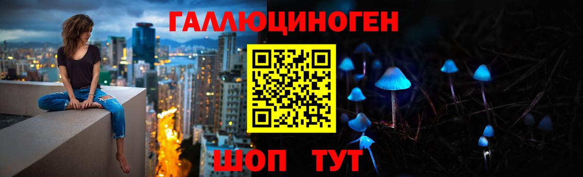 Коммунар  Псилоцибиновые грибы Cubensis  Вход с VPN 